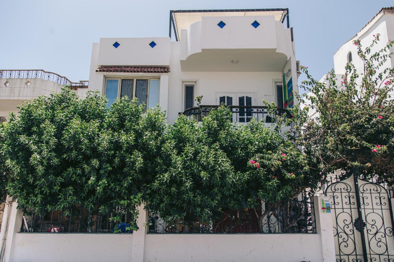 Rafiki Hostels - Νταχάμπ Εξωτερικό φωτογραφία