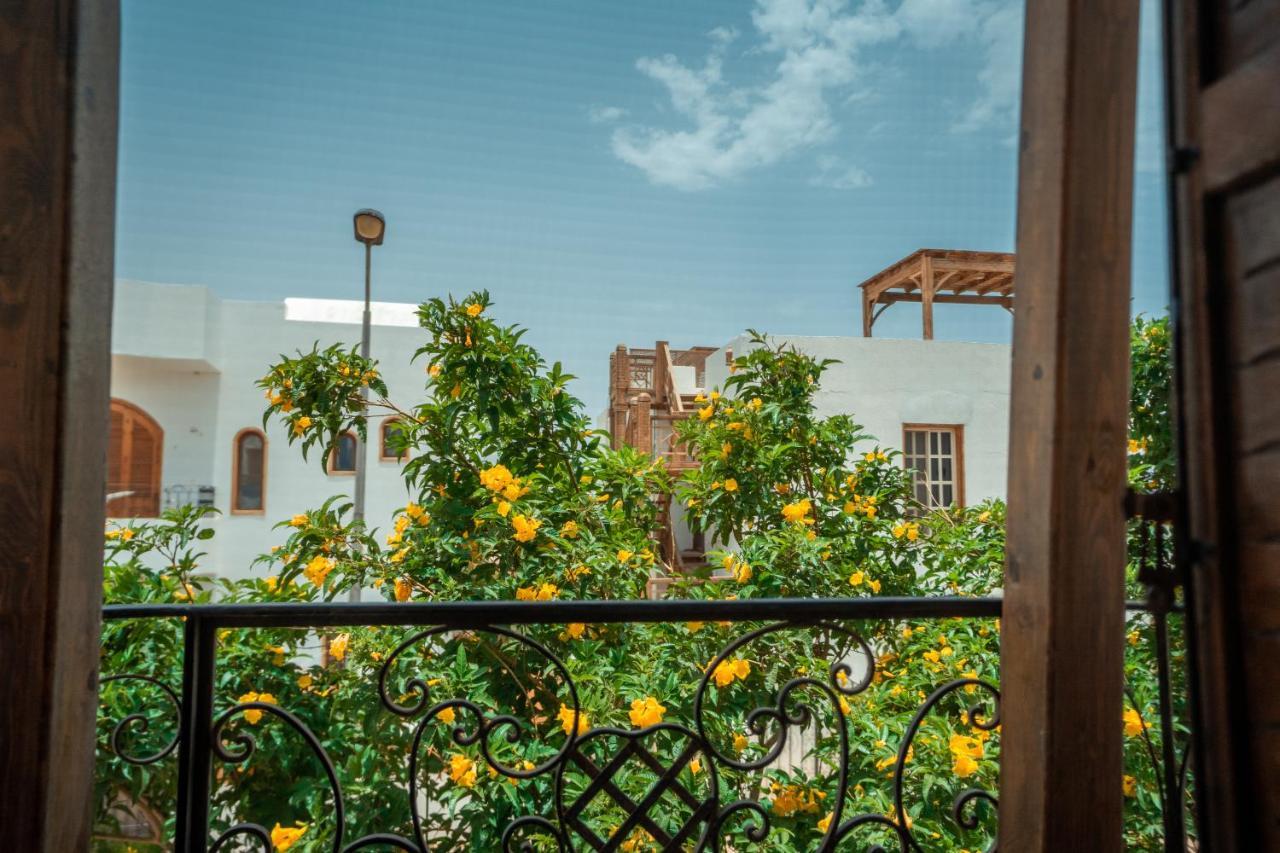 Rafiki Hostels - Νταχάμπ Εξωτερικό φωτογραφία