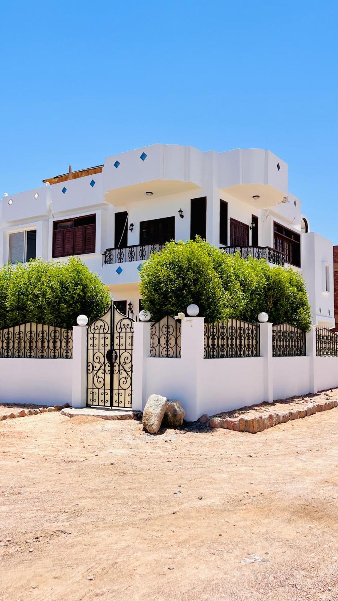Rafiki Hostels - Νταχάμπ Εξωτερικό φωτογραφία