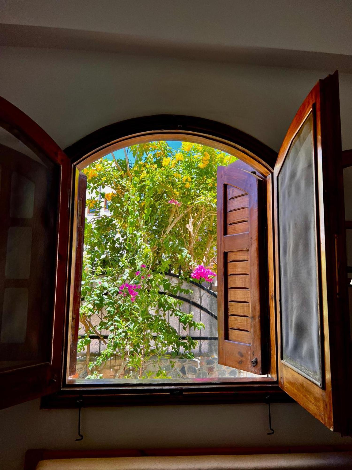 Rafiki Hostels - Νταχάμπ Εξωτερικό φωτογραφία